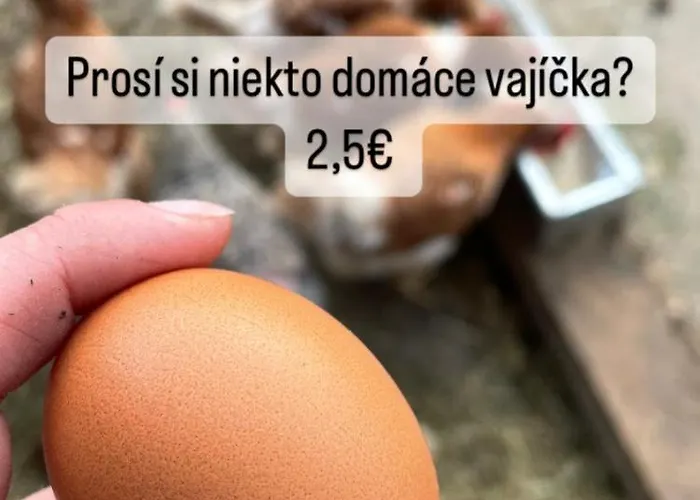 Daire Beautiful Modern Decorated Flat